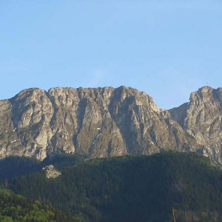 Vila Jedrus Zakopane Exteriér fotografie