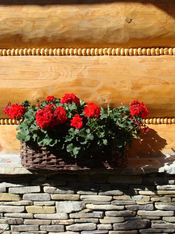 Vila Jedrus Zakopane Pokoj fotografie